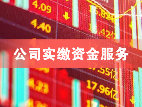 涿州公司实缴资金服务
